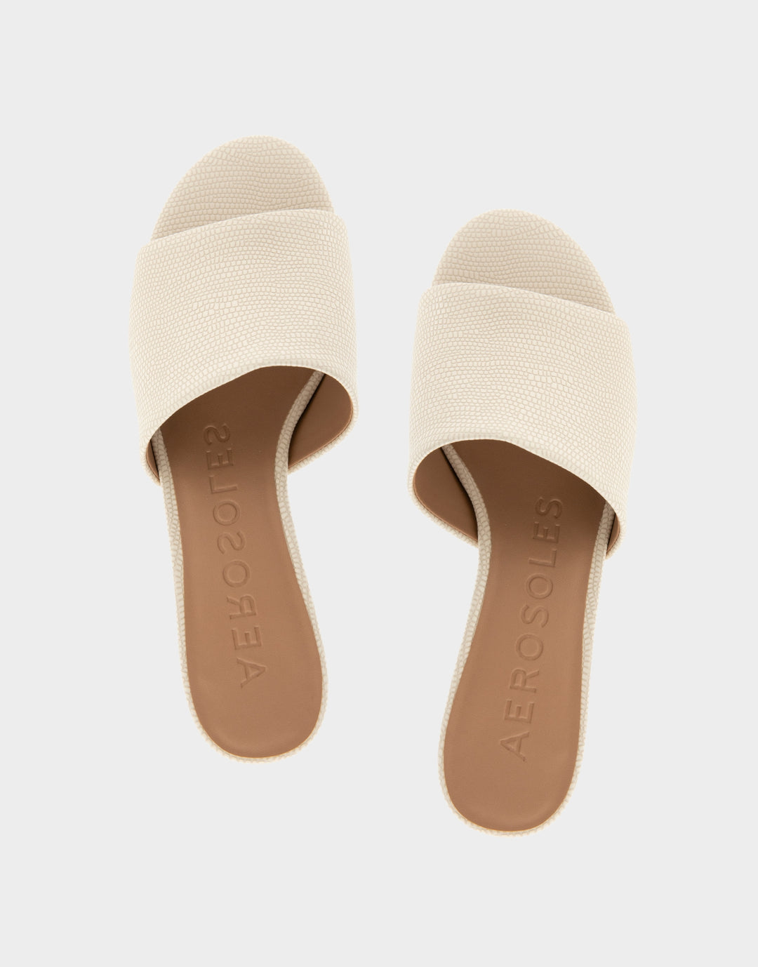 Como Eggnog Lizard Embossed