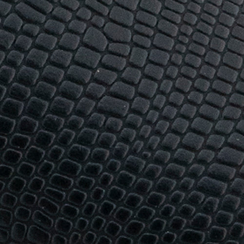 Lézard noir de Como