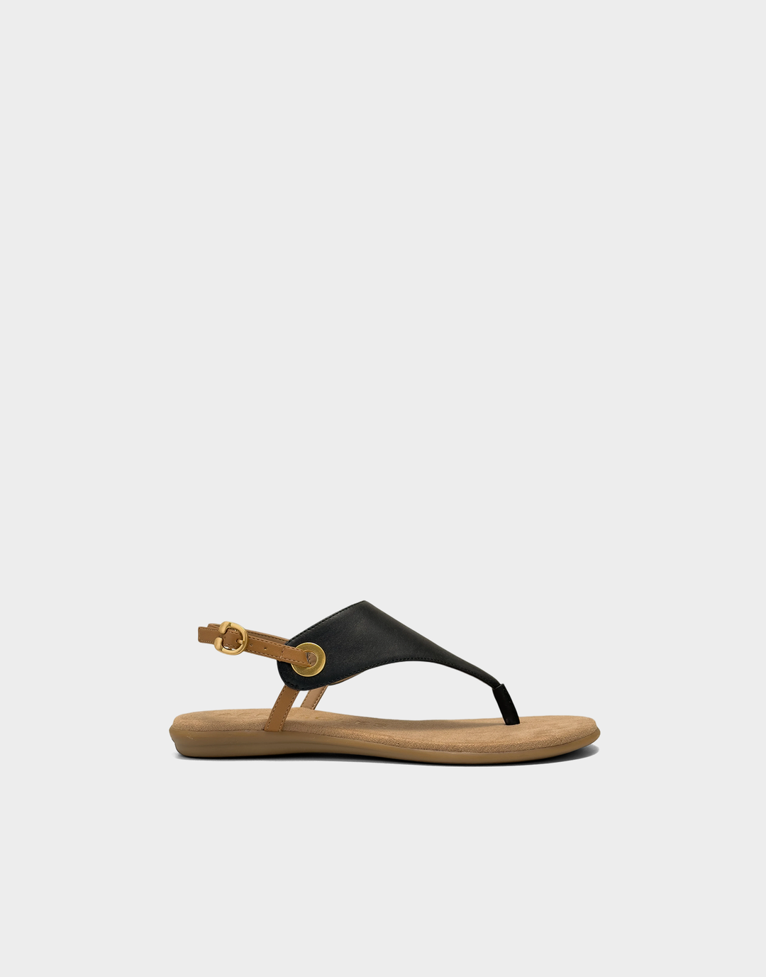 Conclusion Black Tan