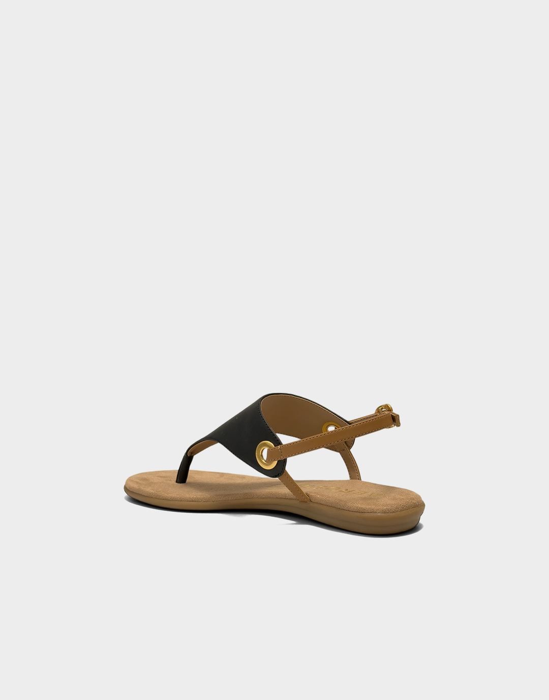 Conclusion Black Tan