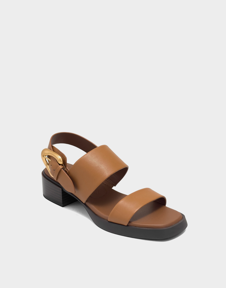 Dantay in Tan