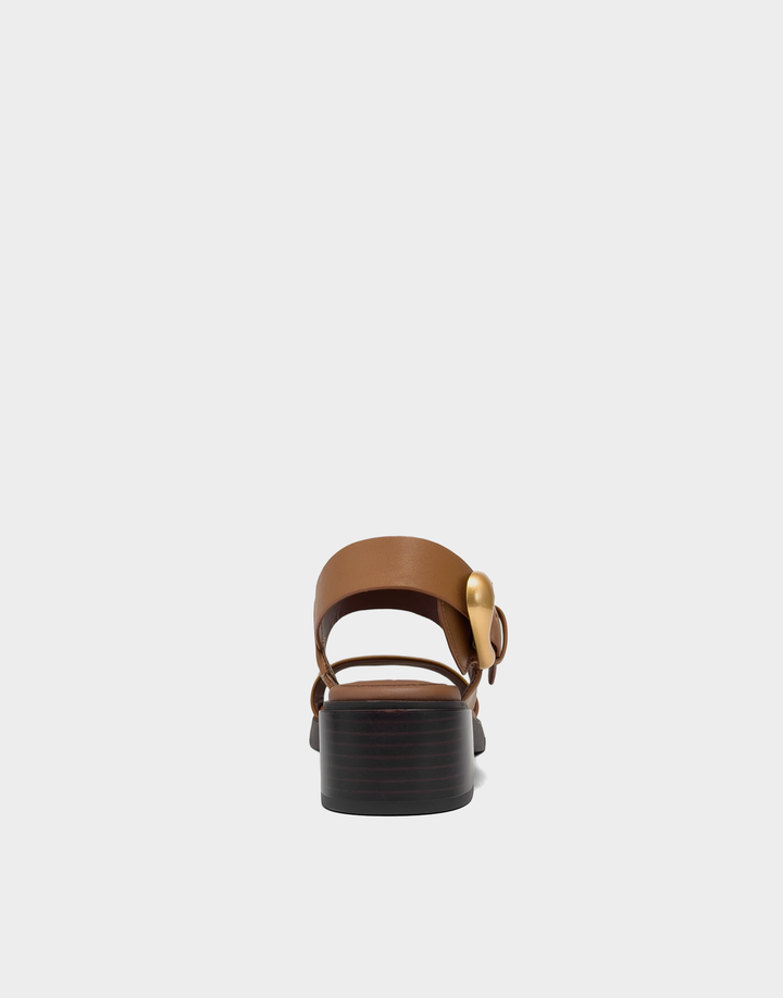 Dantay in Tan